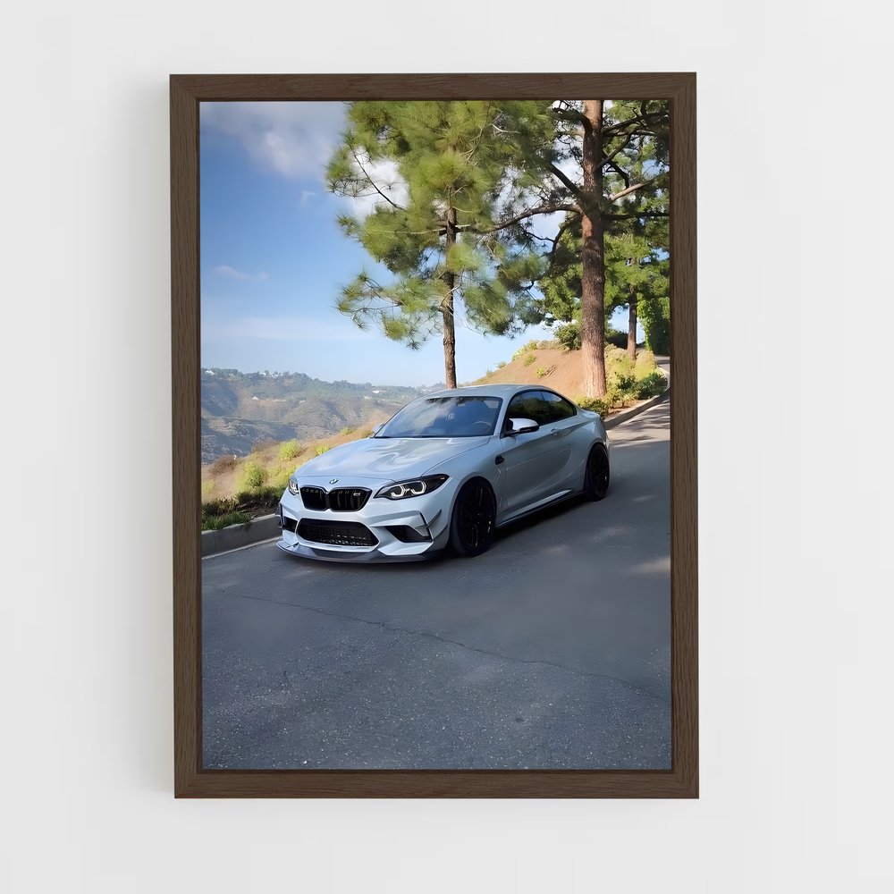 Poster BMW M2 sur Route (vue 5)